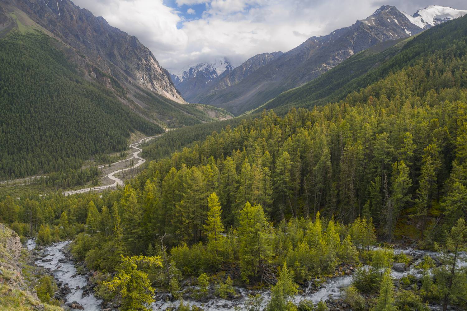 россия, горный алтай, тайга, Поляков Андрей