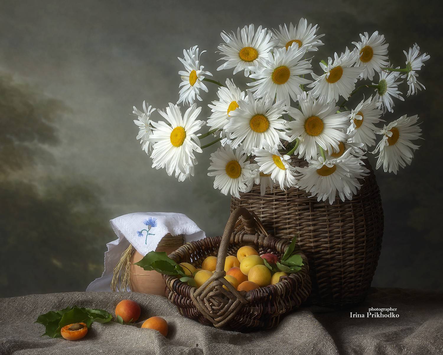 натюрморт, лето, фрукты, абрикосы, букеты, ромашки, Приходько Ирина
