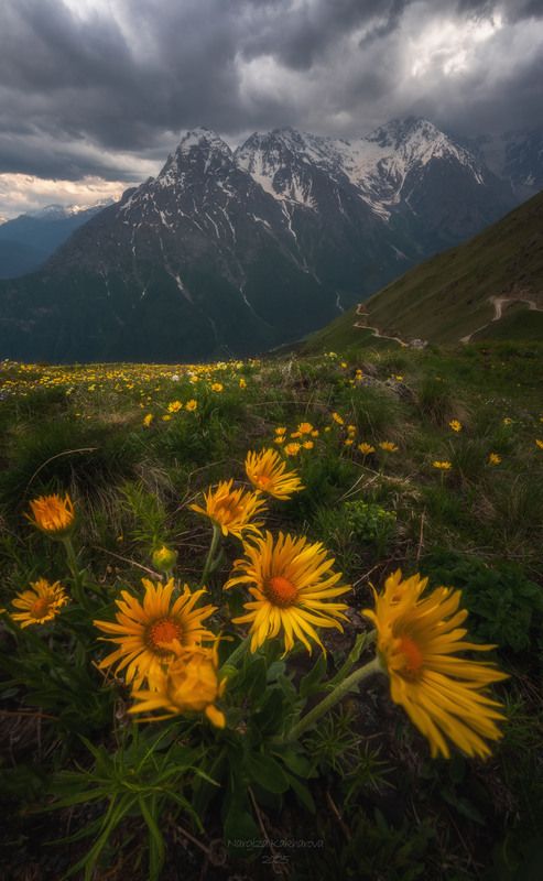 Ветренно фото превью
