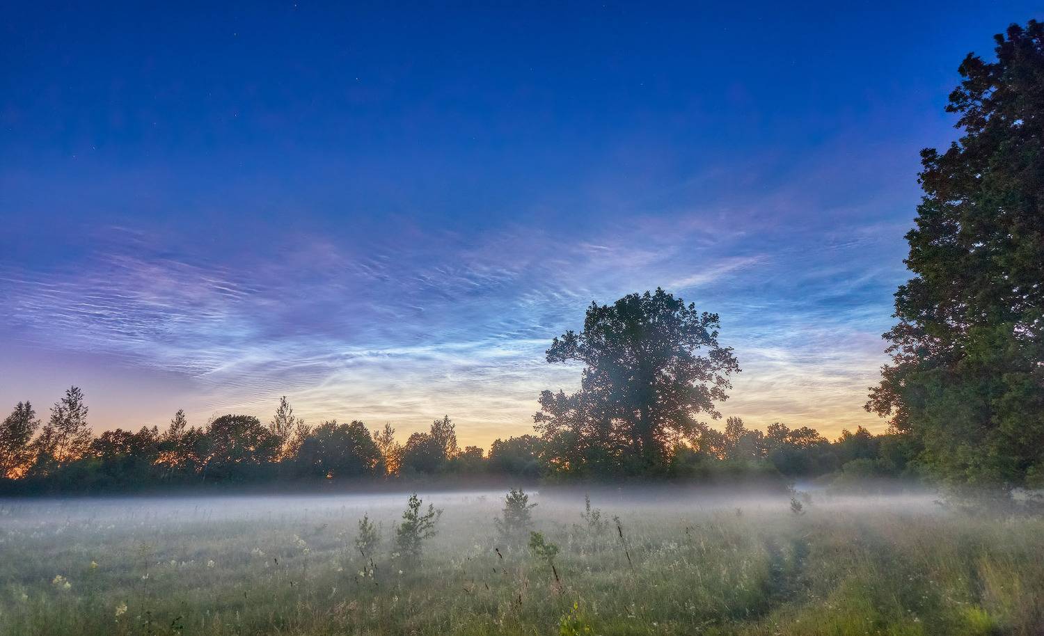 беларусь, вечер, дубрава, июль, лето, ночь, облака, свислочь, туман, Вейзе Максим