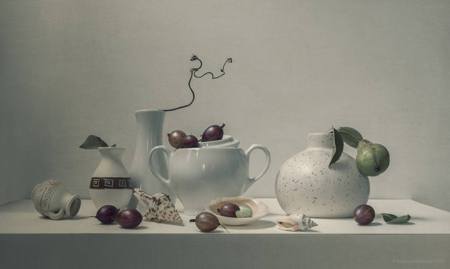 , Шипунова Ирина