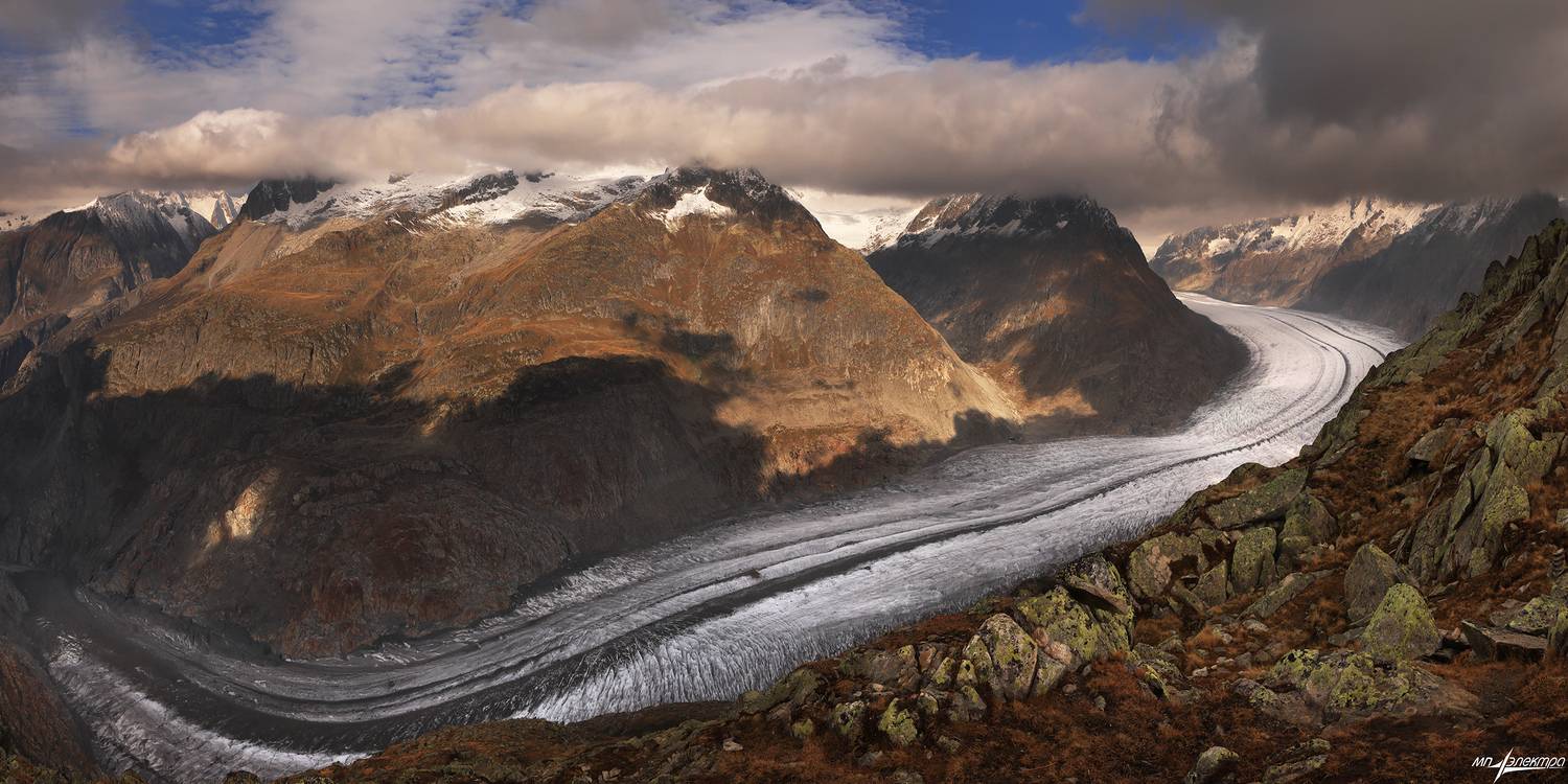 swiss, Матвеев Николай