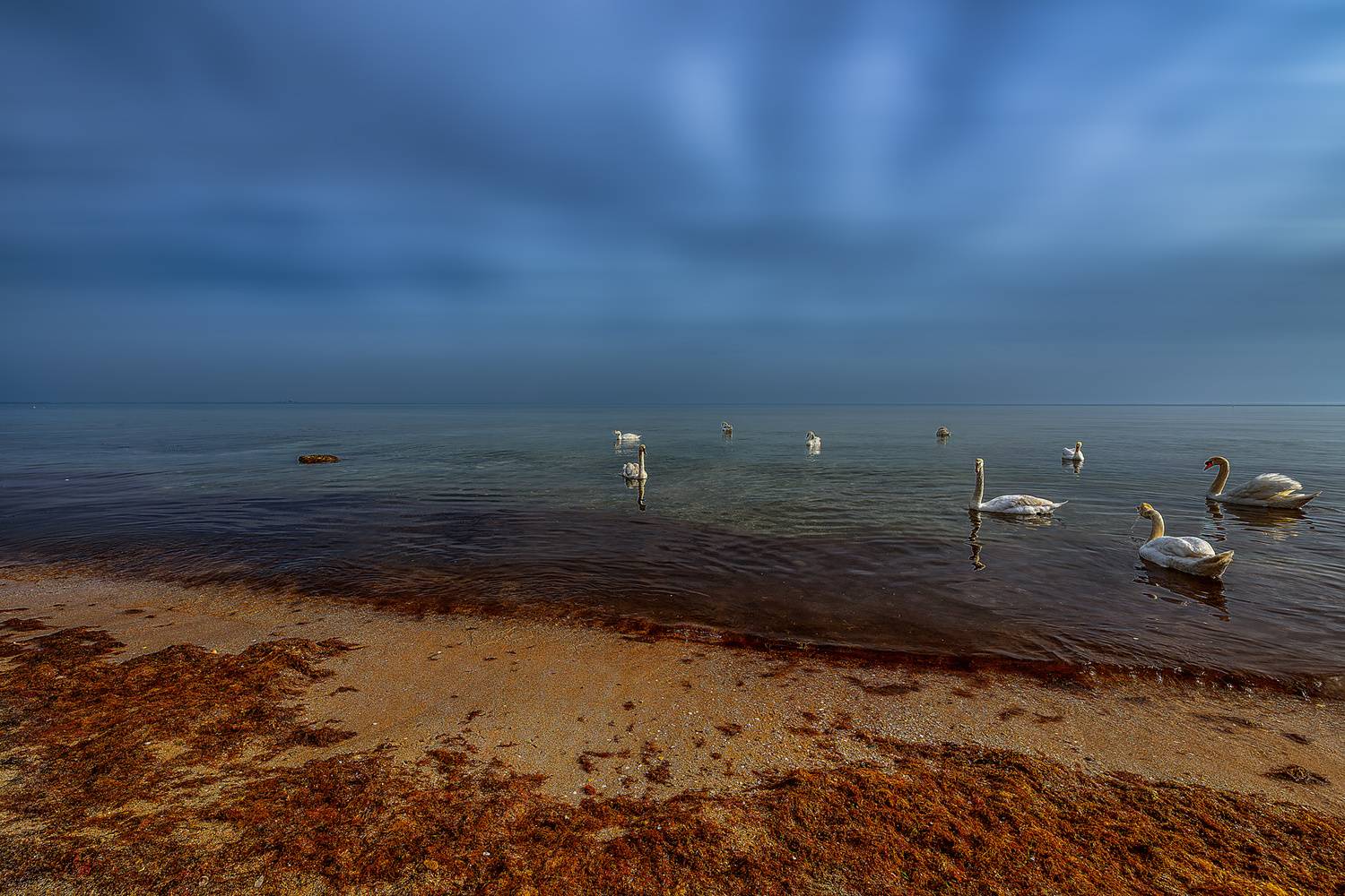 , Владимир Гамаюнов