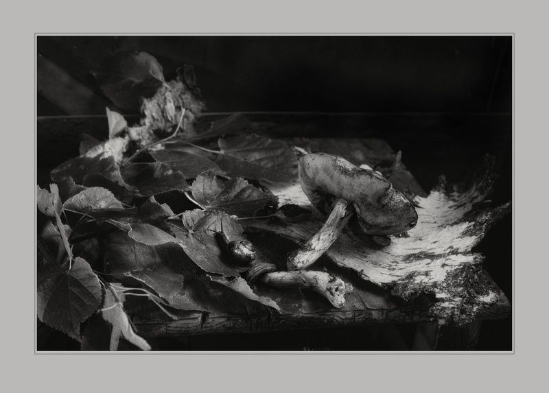 Пойду поищу ложку... фото превью