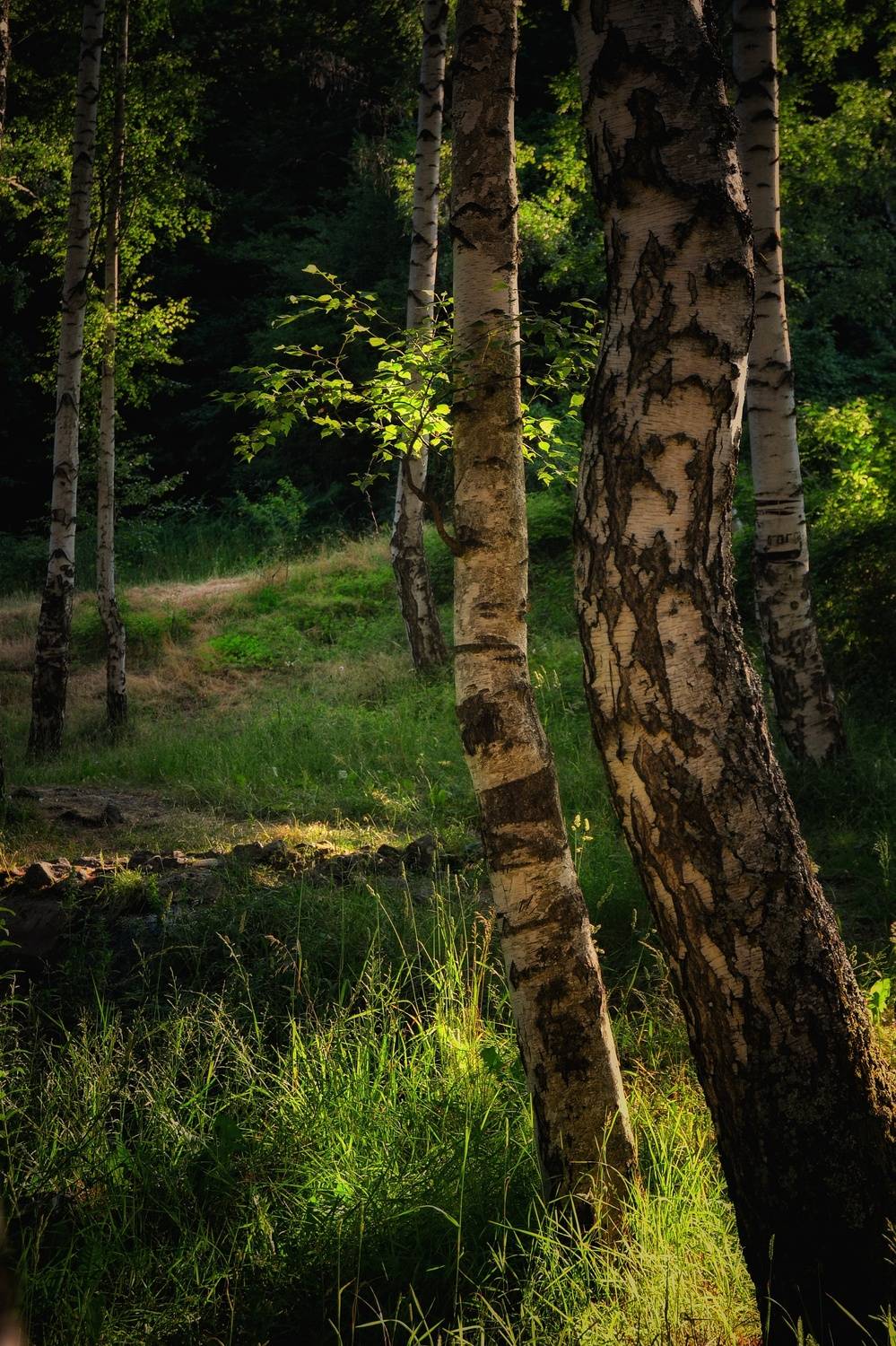 , Юлияна Стоянова