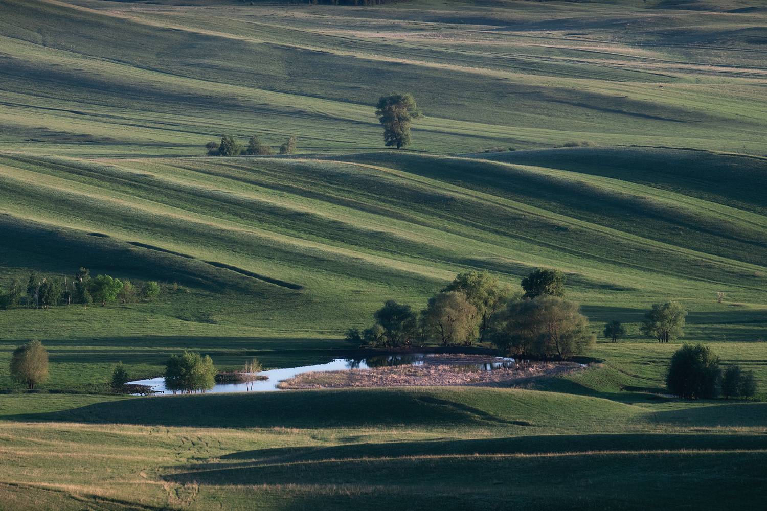 долгие горы, оренбуржье, степь, оренбургская область, карамурунтау, Михаил Широбоков