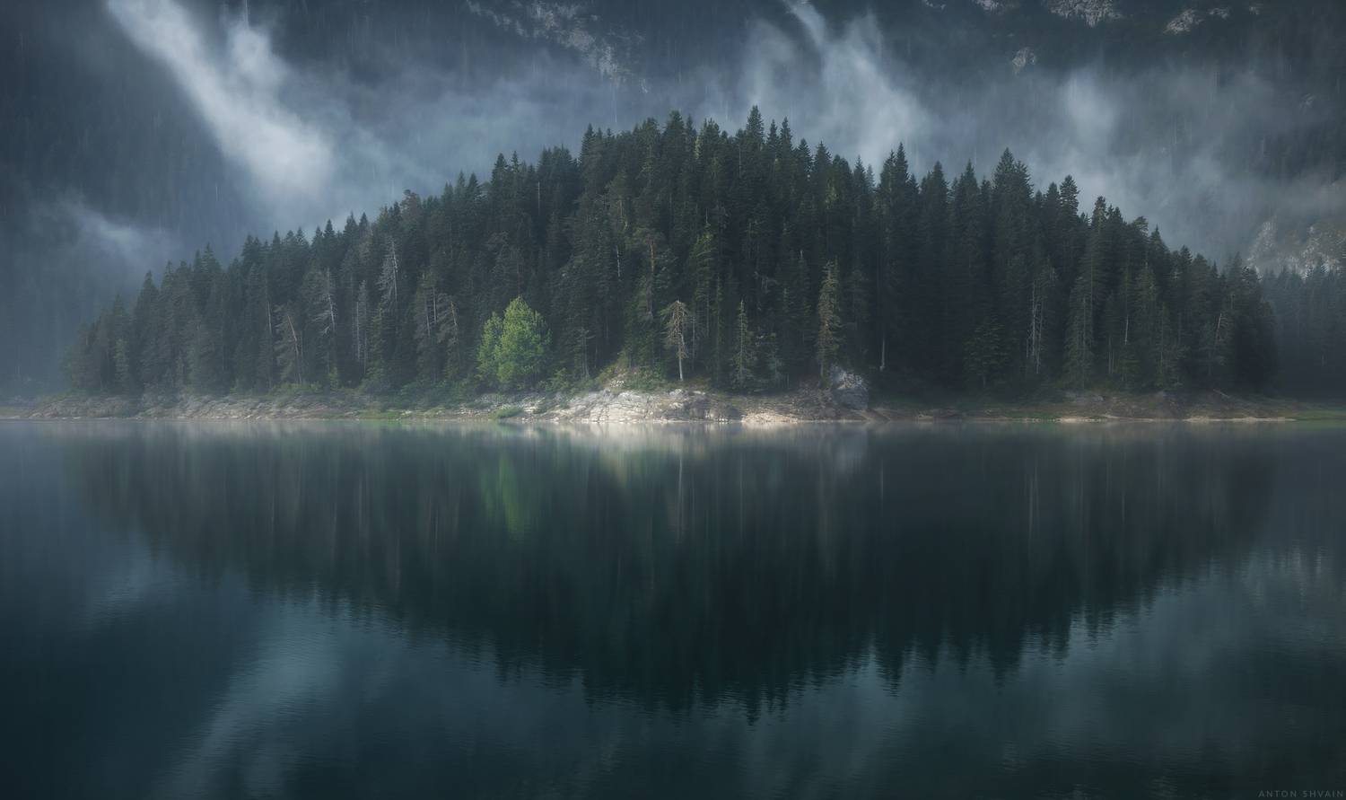 , Антон Шваин