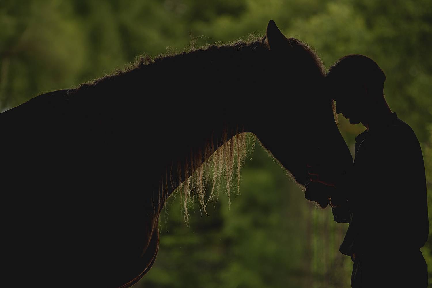 , Елена Самусенкова