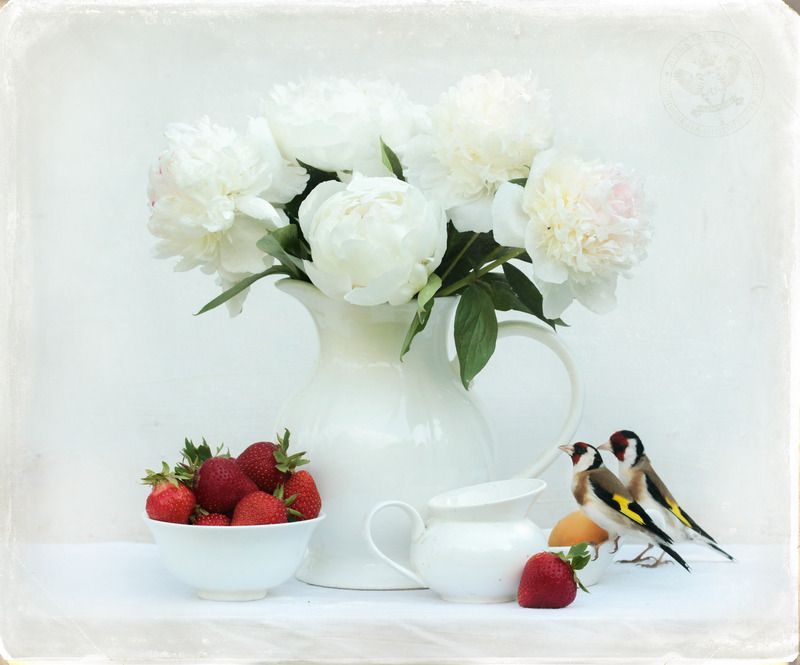 Натюрморт с четой Кардуэлисов фото превью