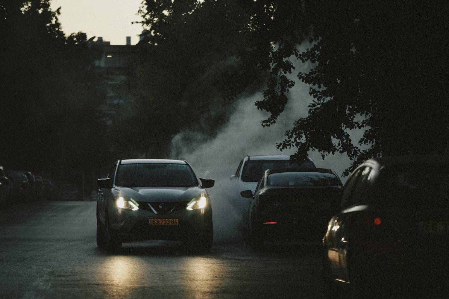 , Щеглова Марина