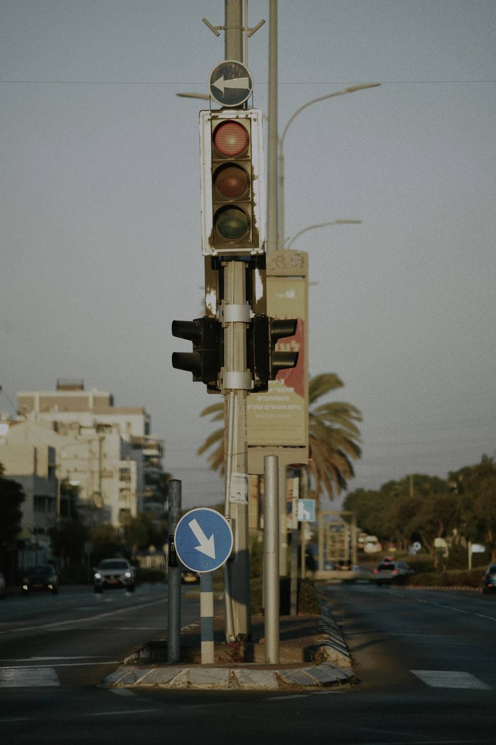 , Щеглова Марина