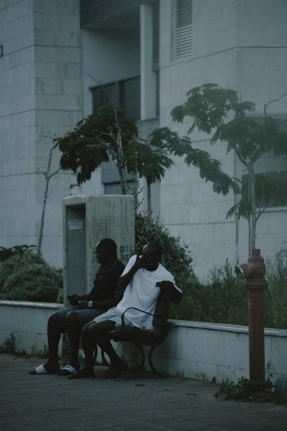 , Щеглова Марина