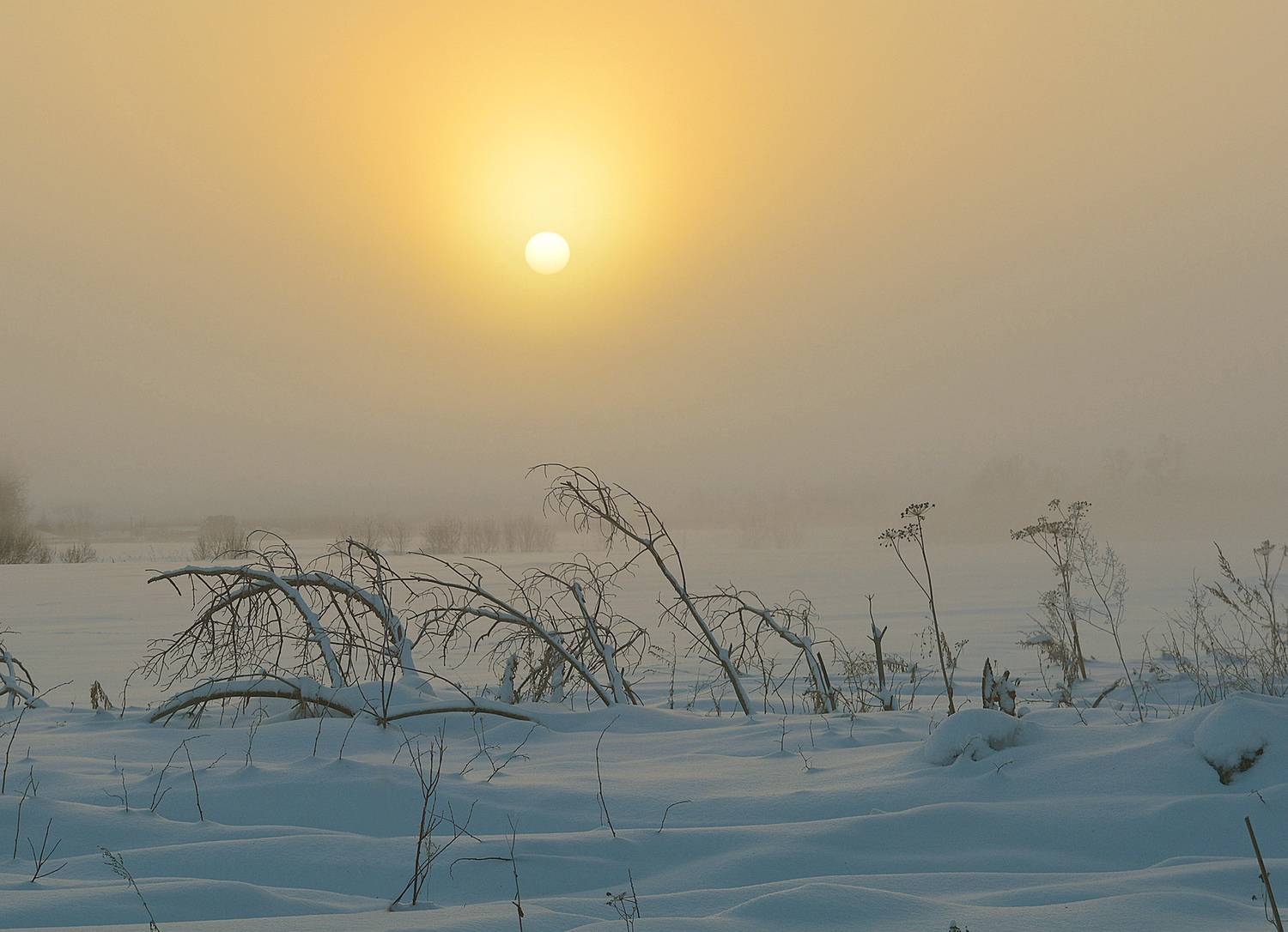 , Белоусов Михаил