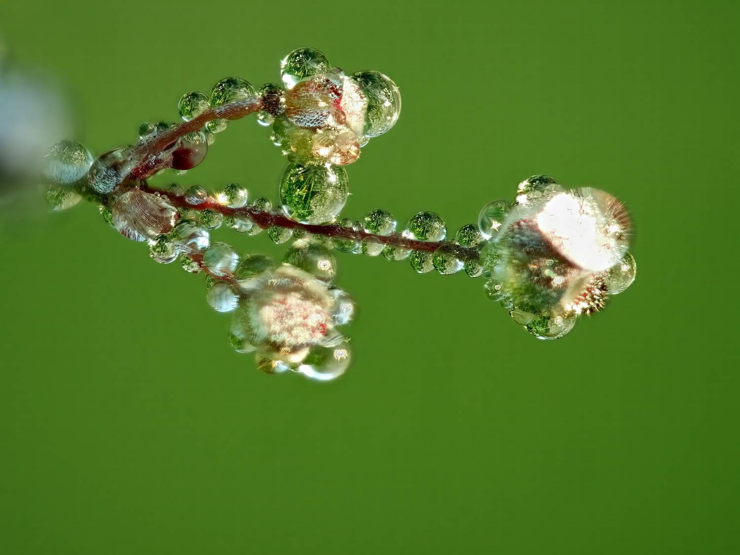 , Кузнецов Дмитрий