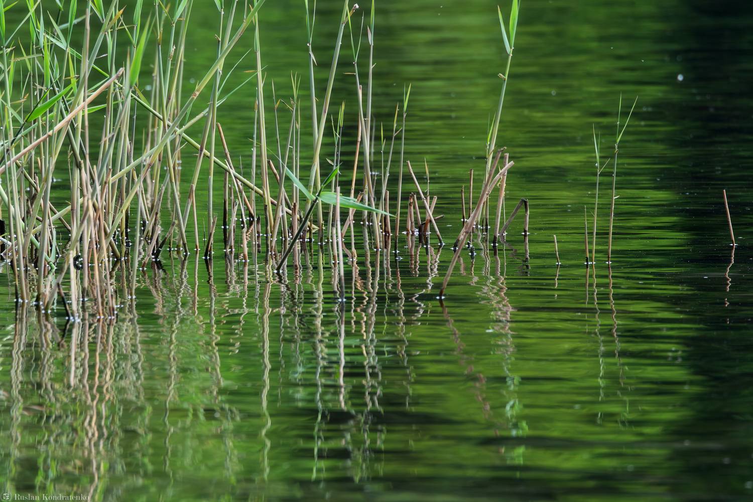 Вода, Кондратенко Руслан