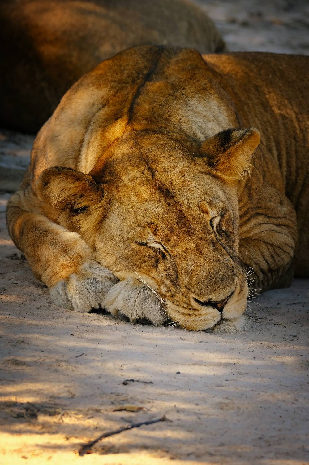 , Худзинская Ирина