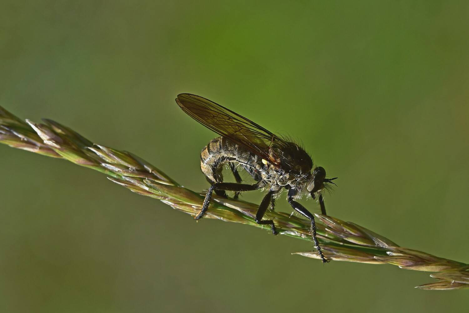 , Корнейчук Игорь