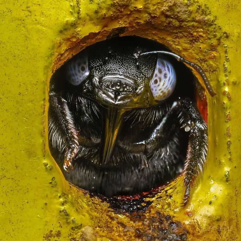 What are you looking at? фото превью