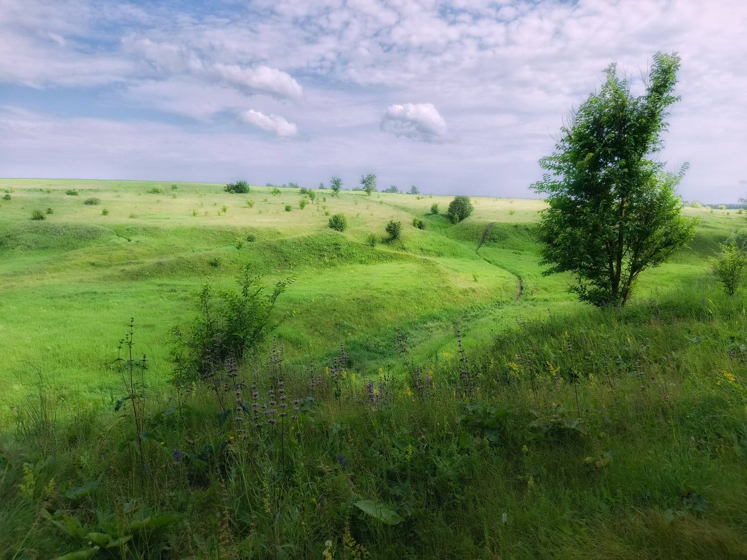 , Кондрашова Светлана