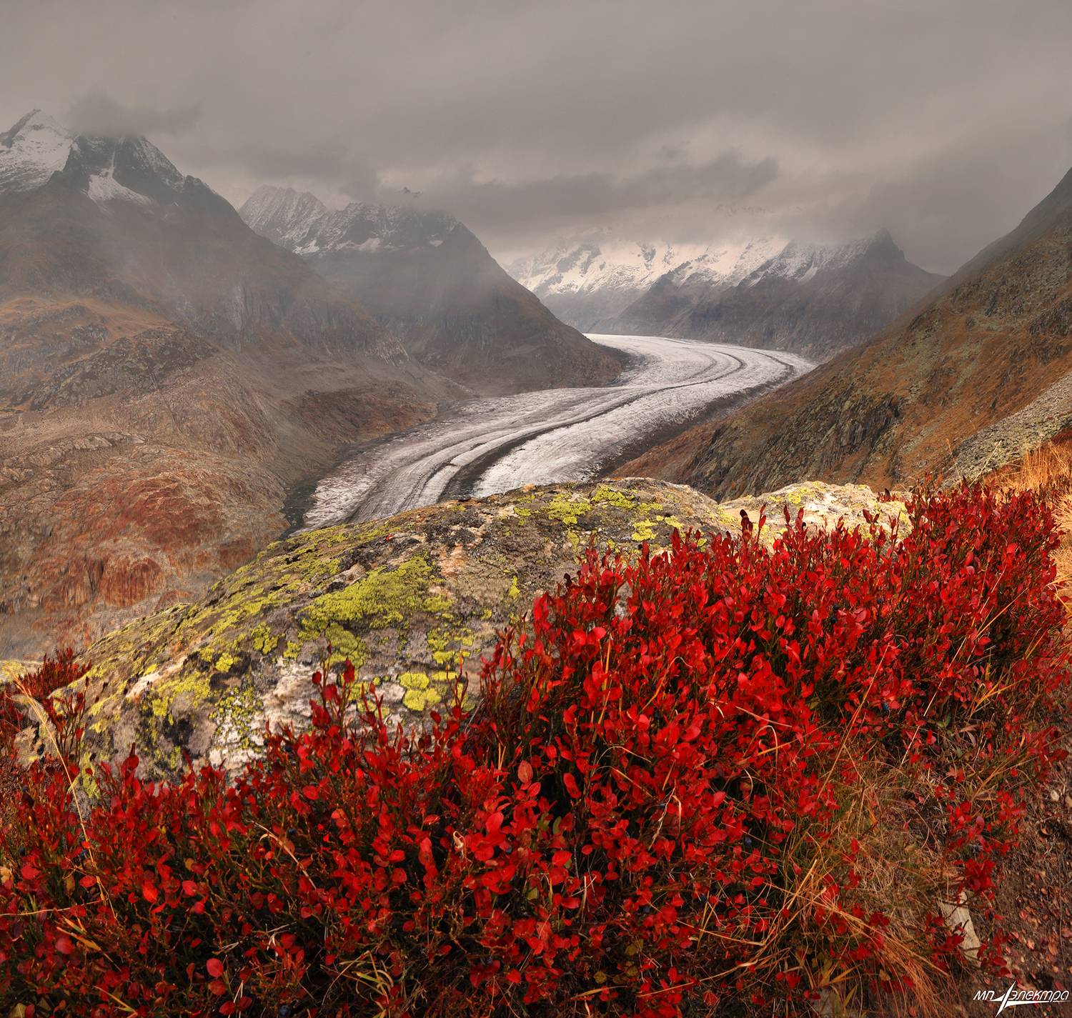 swiss, Матвеев Николай