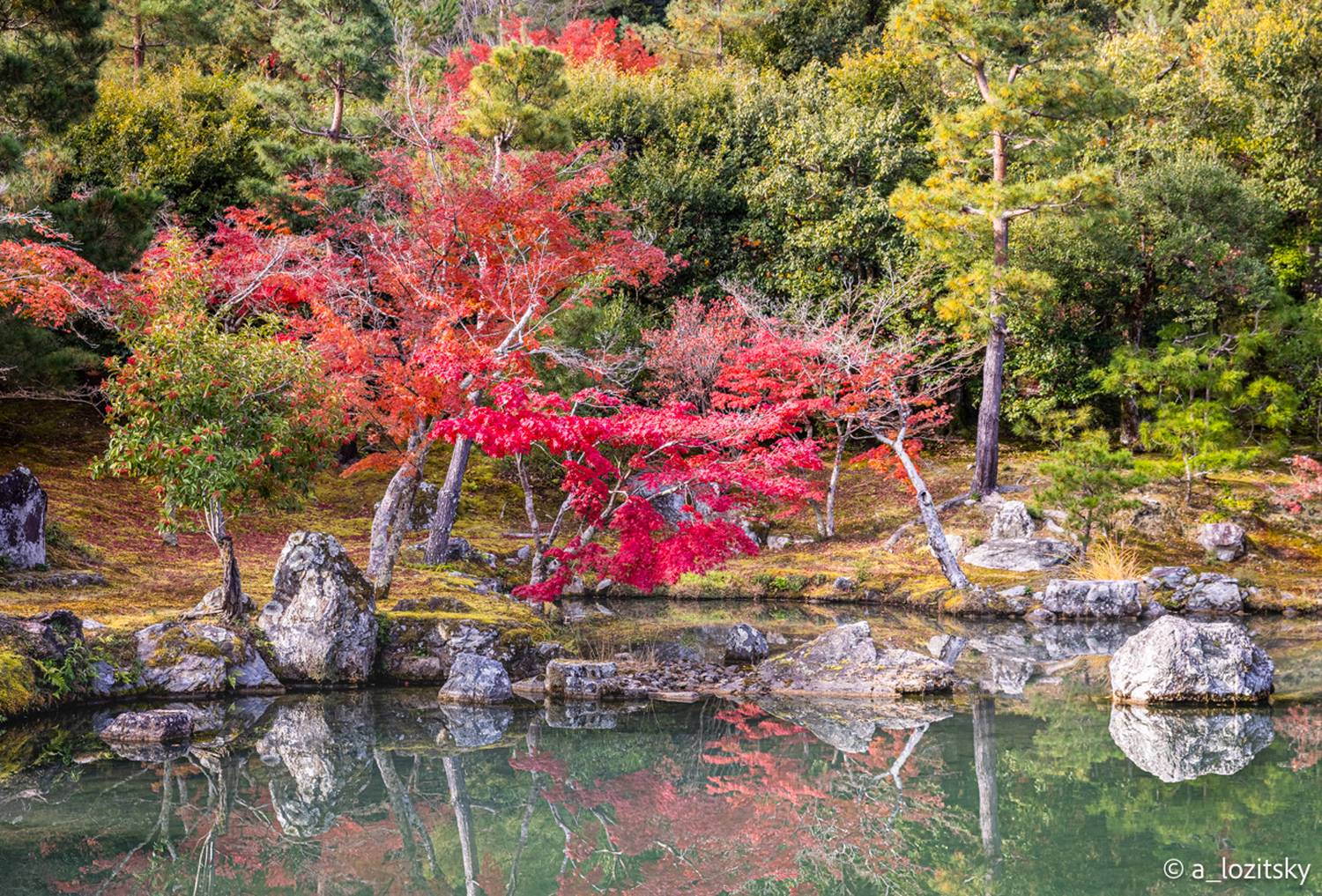 , Лозицкий Александр