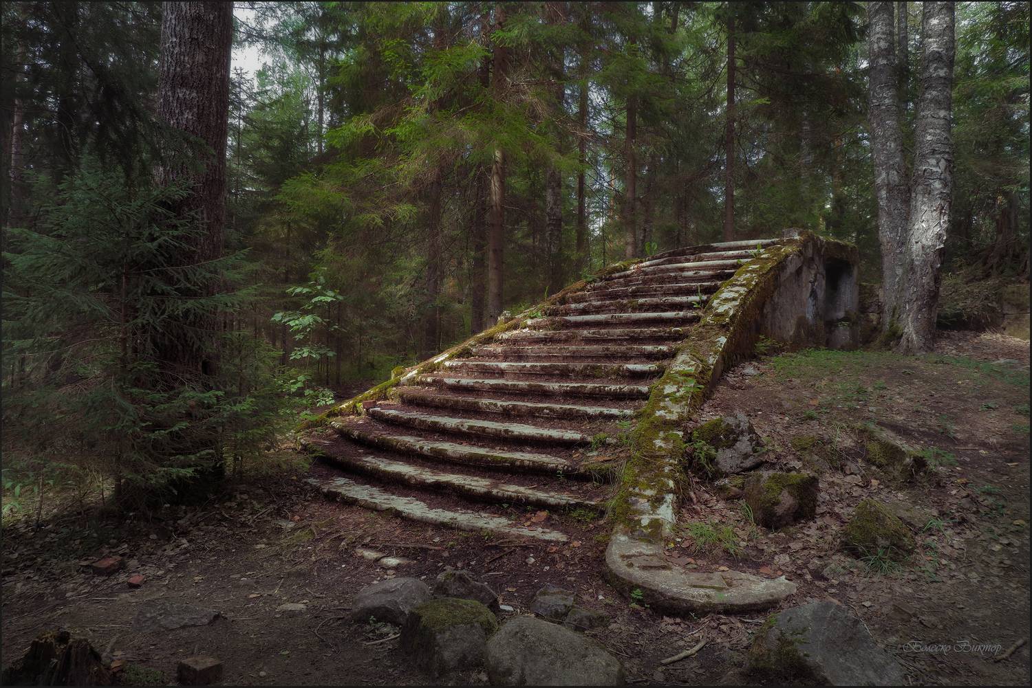 , Болеско Виктор