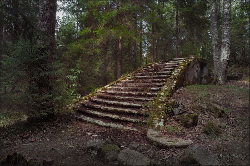На былой роскоши даже ничего не цветёт фото превью