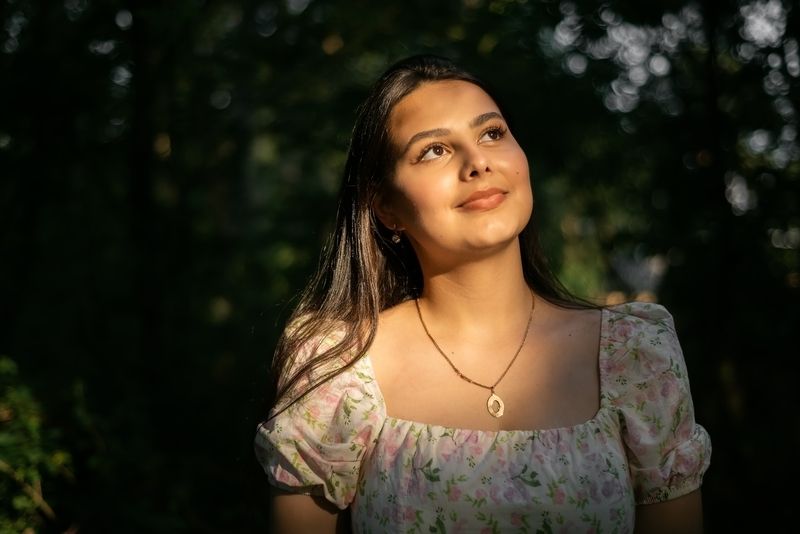 Вечер в лесу фото превью