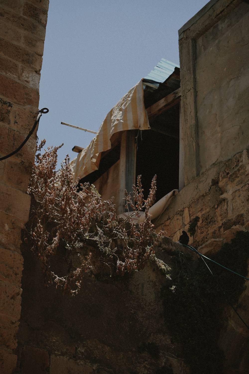 , Щеглова Марина