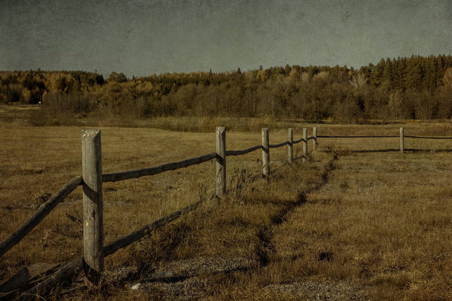 , Сагдиева Эльвира