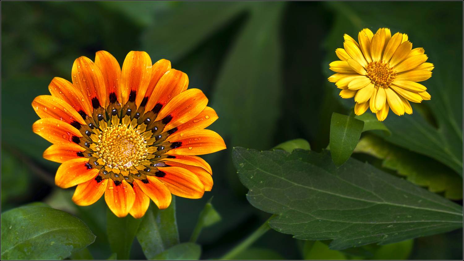 , Ушаков Валерий