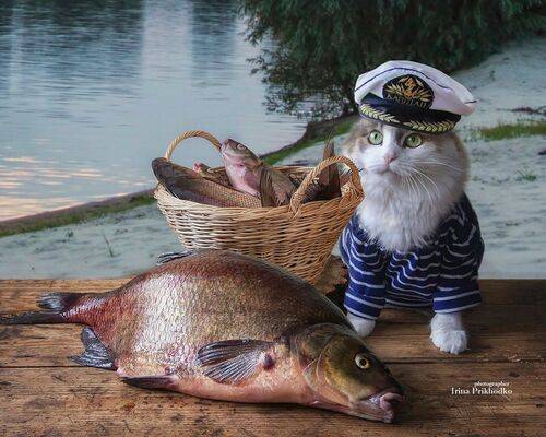 Рыбачка в шоке