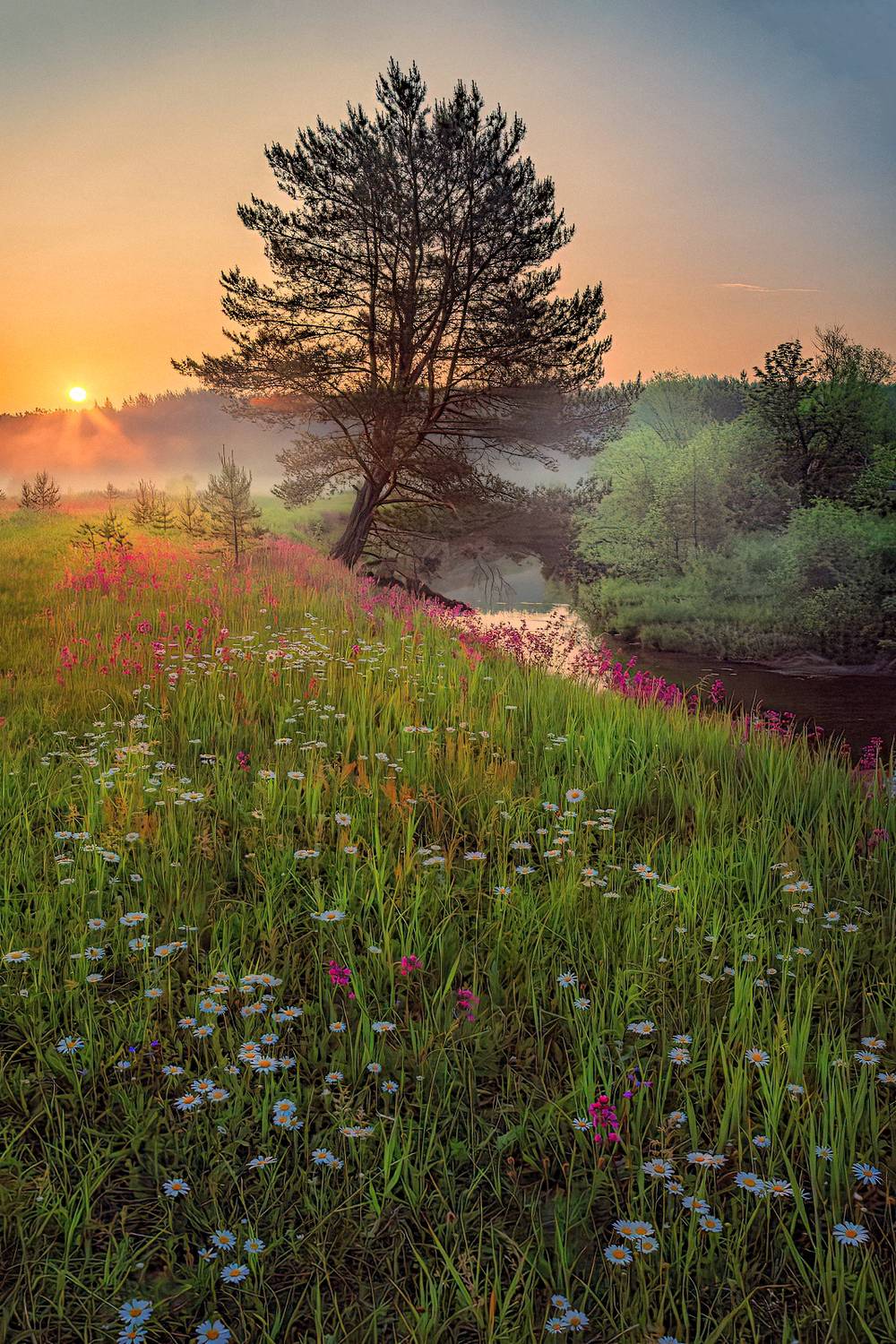 , Евгений Ерохин