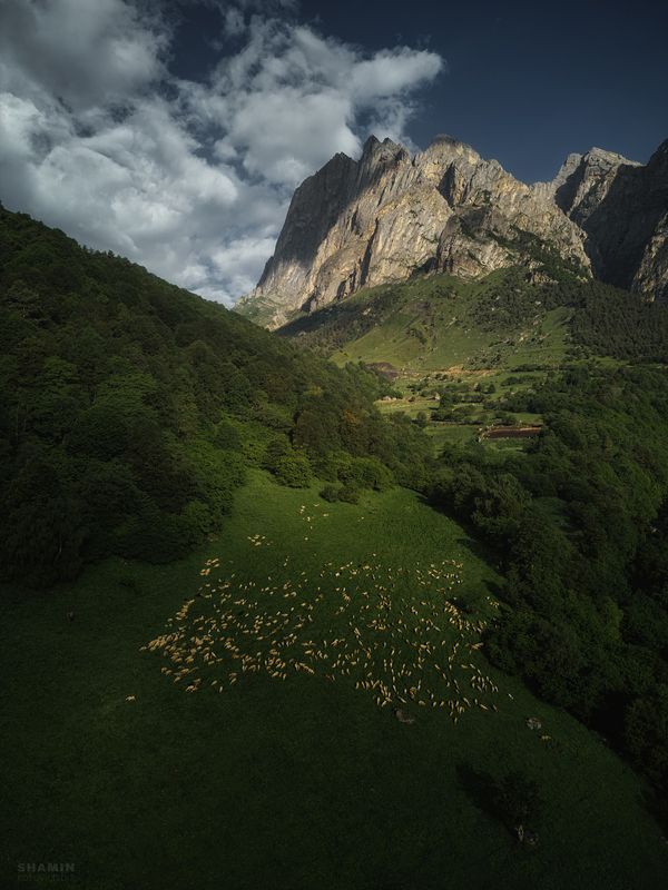 фото превью