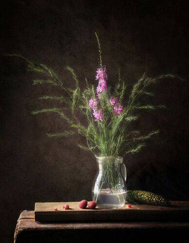 Дыхание лесной прохлады 