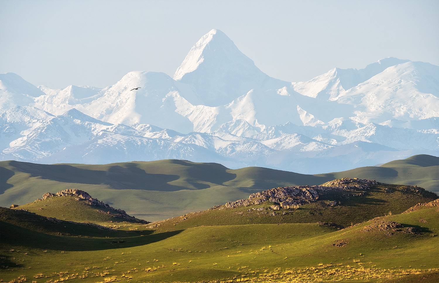, Андрей Родионов