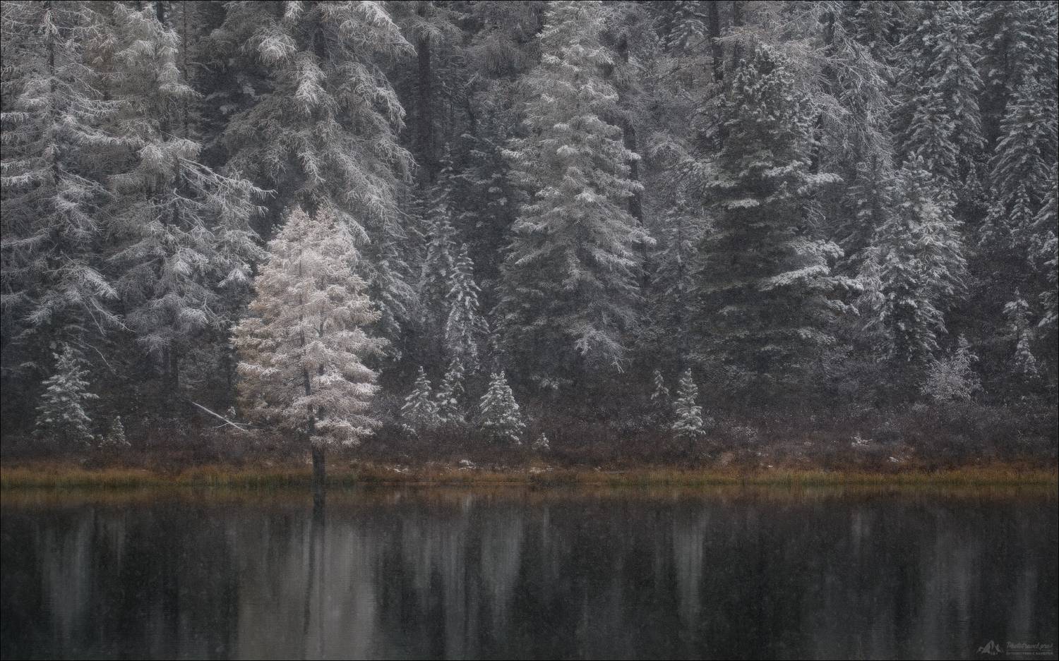 алтай, горный алтай, улаган, улаганское нагорье, улаганский перевал, озеро киделю, фототур на алтай, осенний фототур на алтай, фототуры по россии, Влад Соколовский