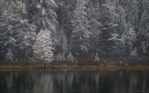 Тонкая грань..