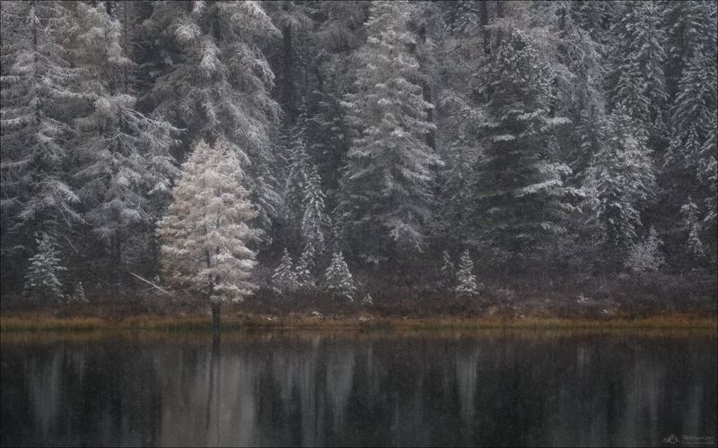 алтай, горный алтай, улаган, улаганское нагорье, улаганский перевал, озеро киделю, фототур на алтай, осенний фототур на алтай, фототуры по россии Тонкая грань.. фото превью