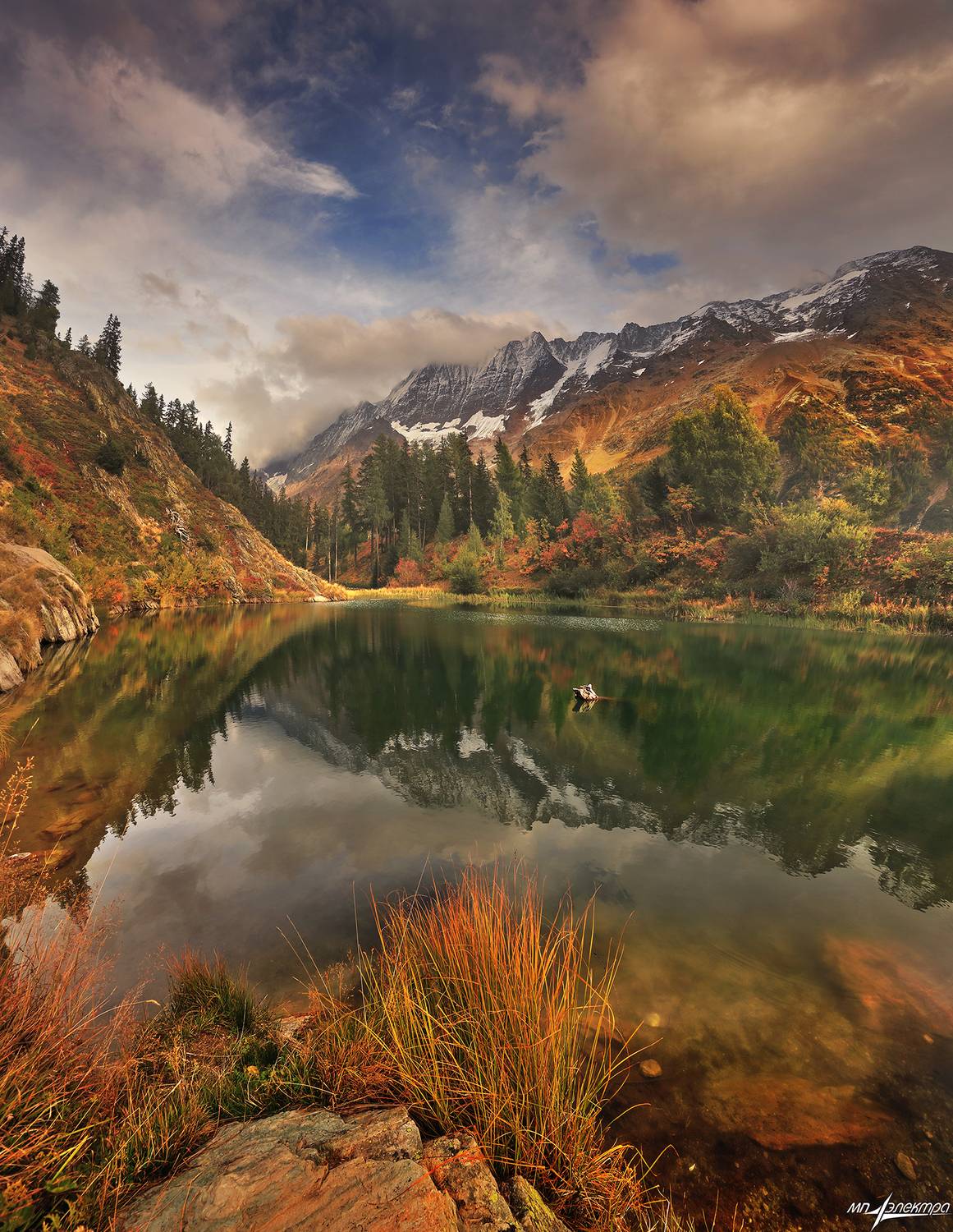 swiss, Матвеев Николай