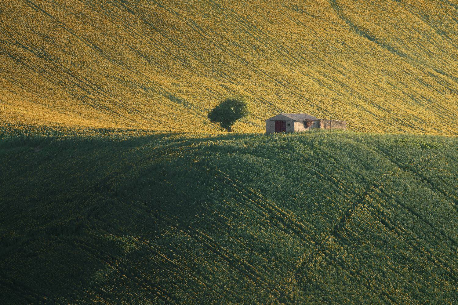 , de Franzoni Thomas