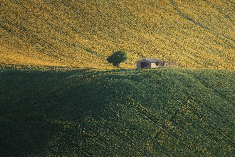 Surrounded By Light фото превью