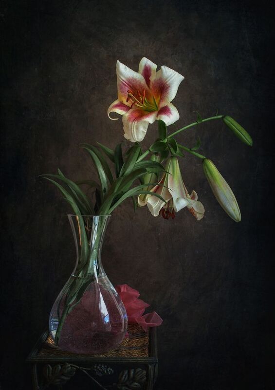 Я ль на свете всех милей, всех румяней и белей? фото превью