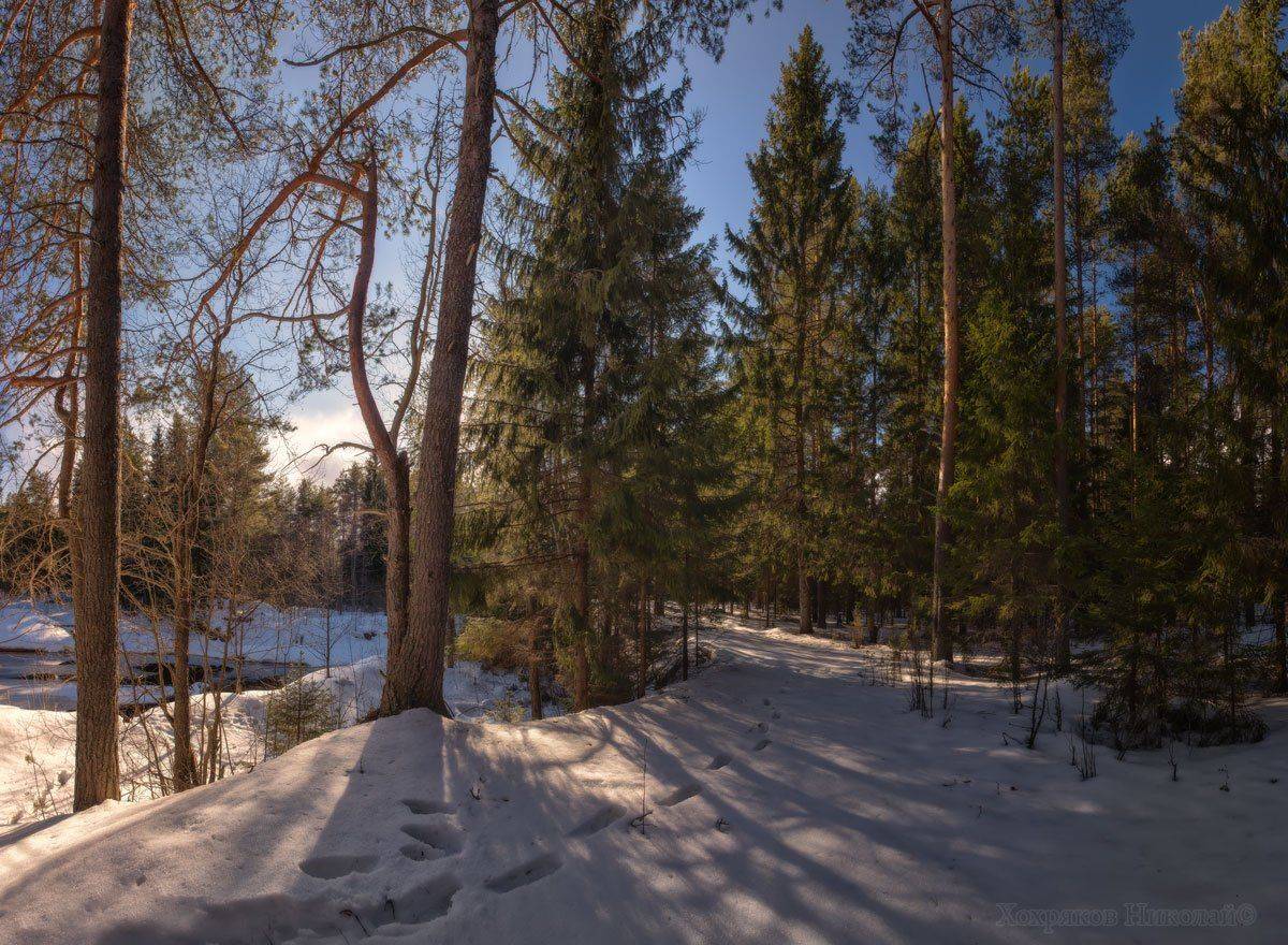 , Хохряков Николай