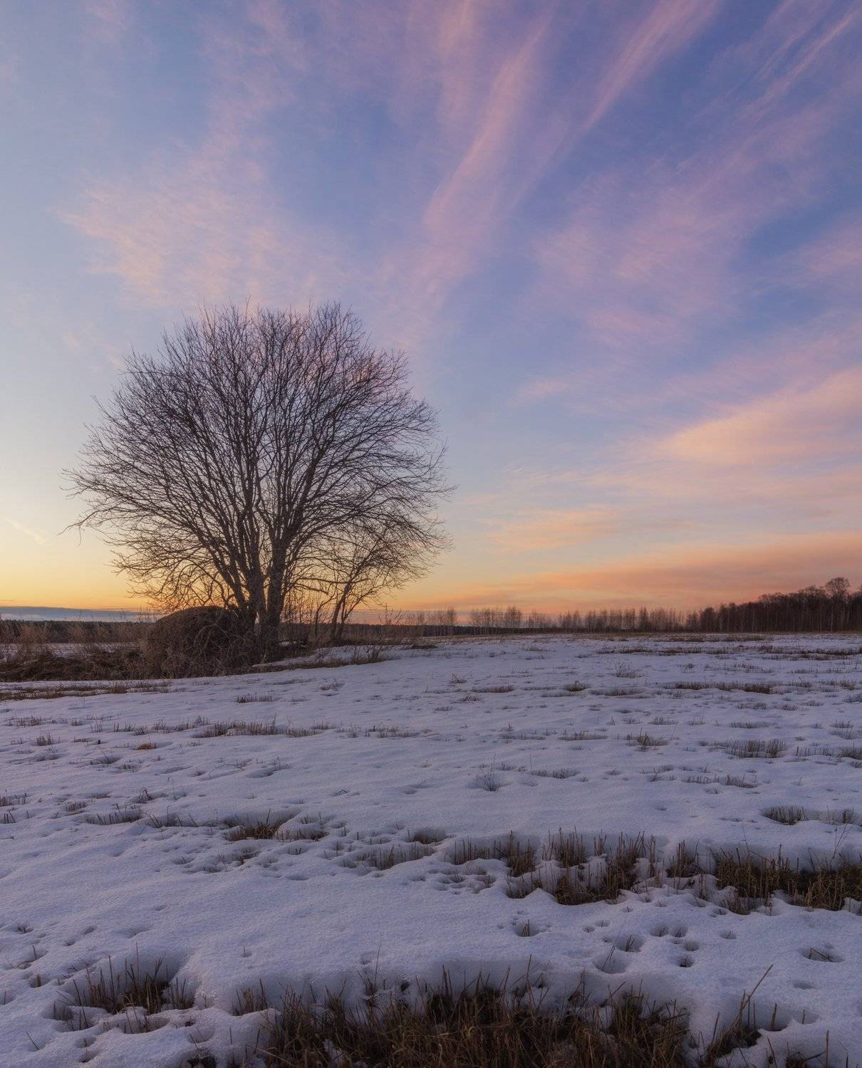 , Курдюков Михаил