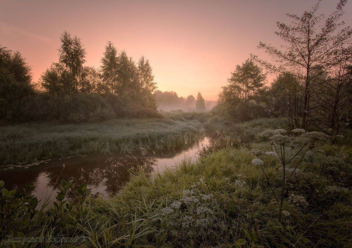 , Хохряков Николай