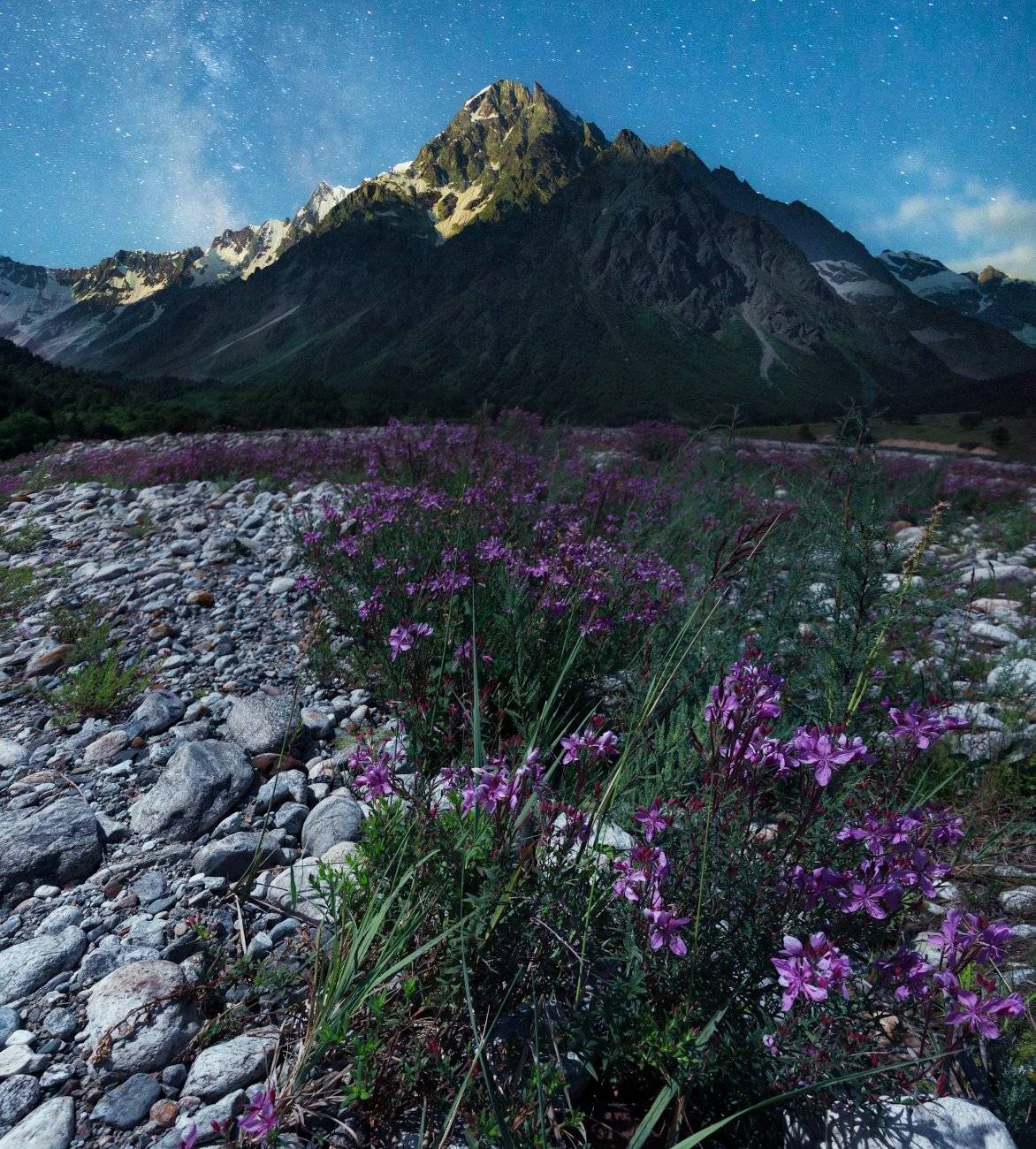 , Елена Брежицкая