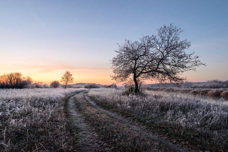 Однажды морозным утром... фото превью