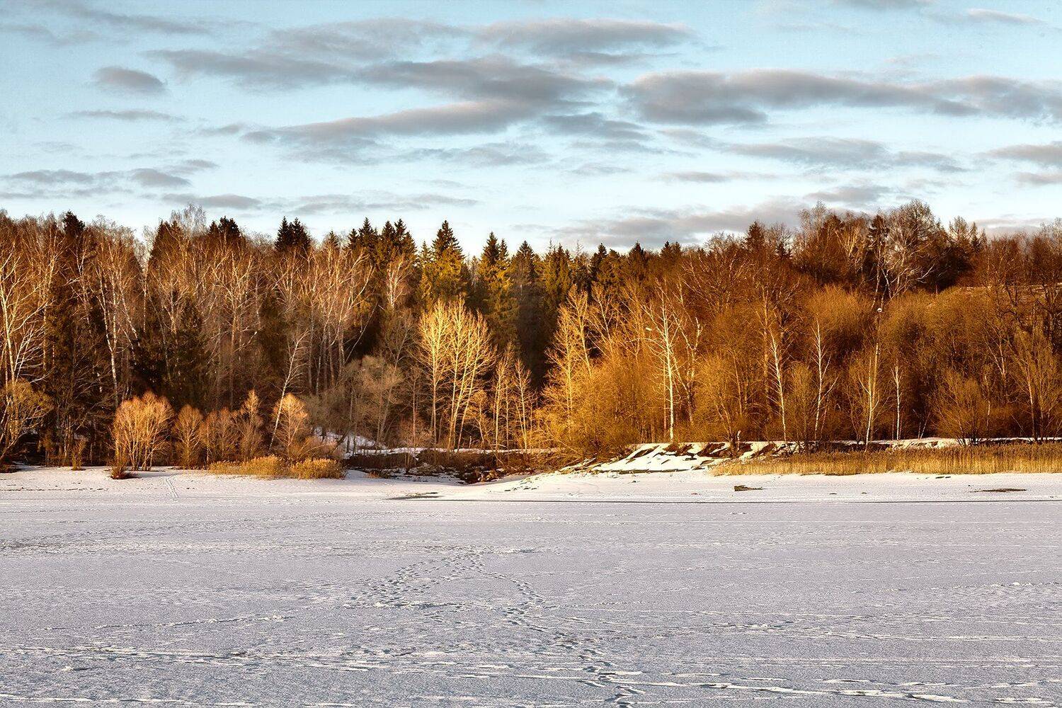 , Булатов Дмитрий