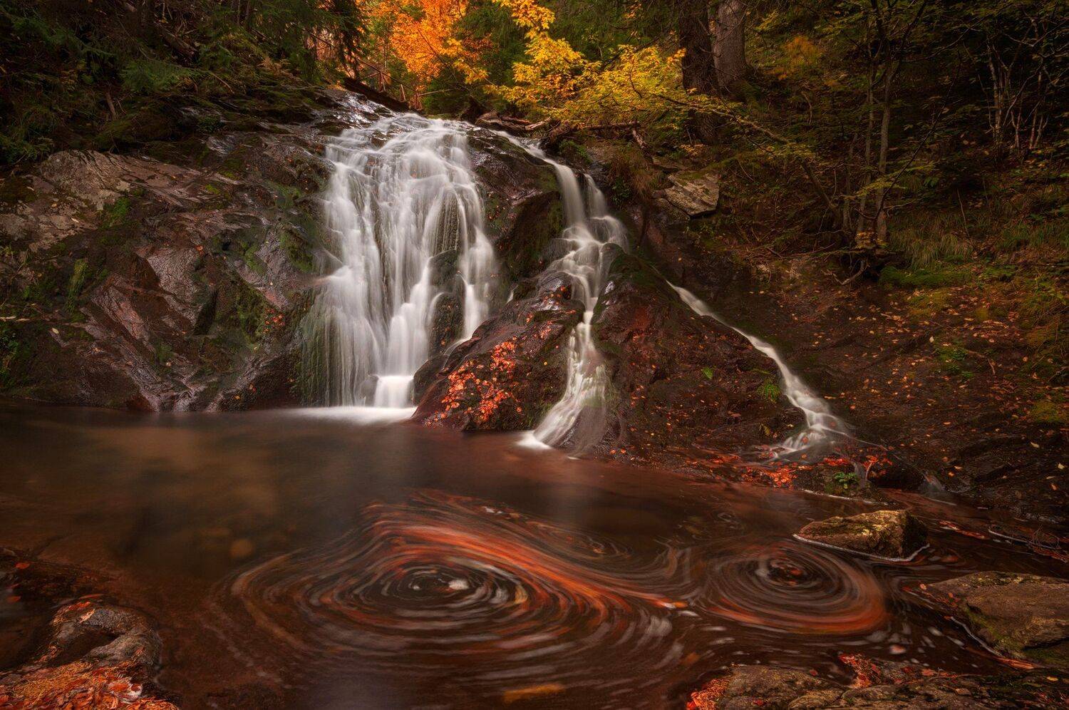 , Весела Маринова